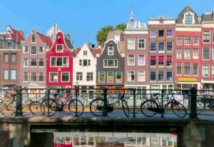 REX FITNESS INTERNATIONAL<br /> 34th gathering <br /> May 13-15, 2025 - NETHERLANDS