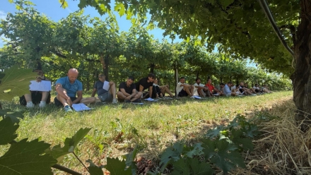 Rex Roundtables Europe